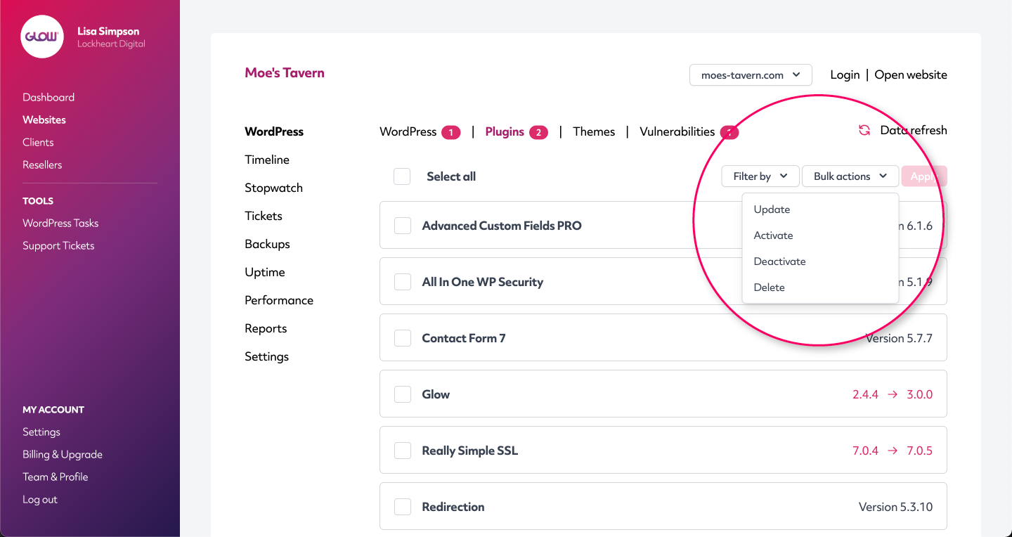 bulk activate, deactivate and delete wordpress plugins and themes from the glow app
