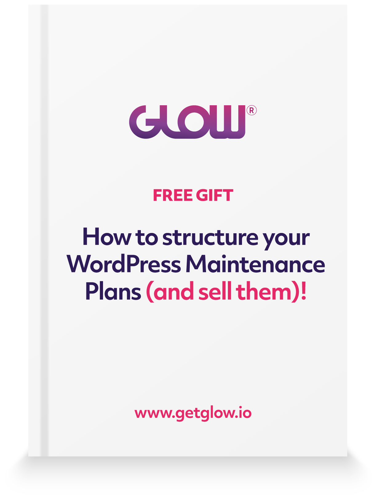book cover for the book entitled how to structure your wordpress maintenance plans and sell them