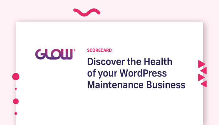 wordpress maintenance business - discover the health of yours - scorecard