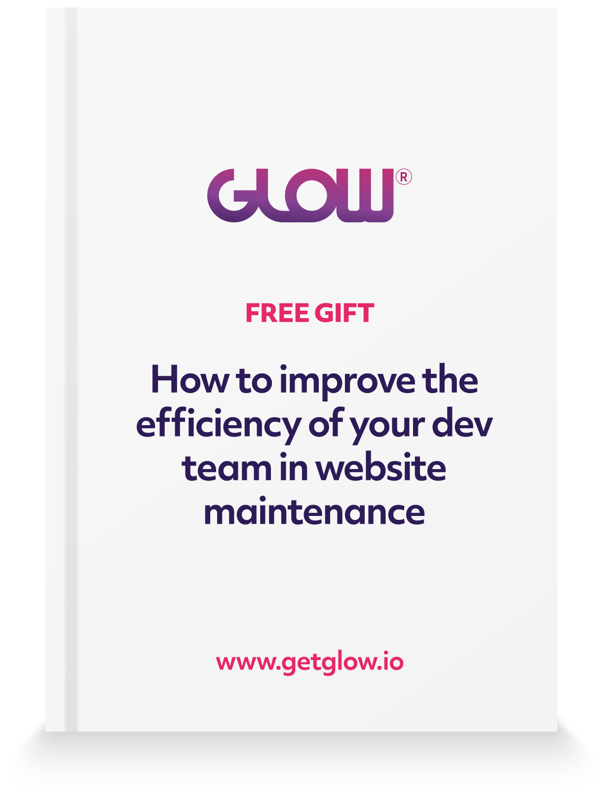 book cover graphic for the book entitled how to improve the efficiency of your dev team in website maintenance